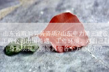 山东省取消劳务资质?山东电力第三建设工程公司出国待遇，工作环境，对自己自身素质提高啊等其他各个方面如何?