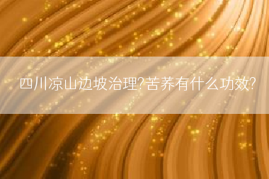 四川凉山边坡治理?苦荞有什么功效?
