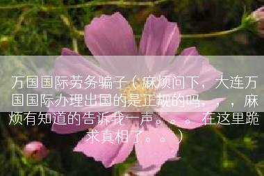 万国国际劳务骗子（麻烦问下，大连万国国际办理出国的是正规的吗，，，麻烦有知道的告诉我一声。。。 在这里跪求真相了。。）