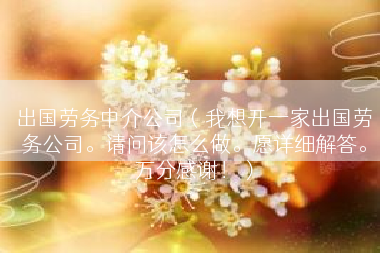 出国劳务中介公司（我想开一家出国劳务公司。请问该怎么做。愿详细解答。万分感谢！）