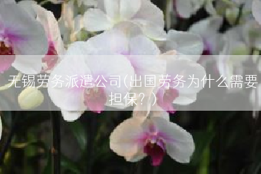 无锡劳务派遣公司(出国劳务为什么需要担保？)