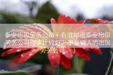 泰安出国劳务公司（有谁知道泰安出国劳务公司哪家比较好？不是骗人的出国劳务公司。）