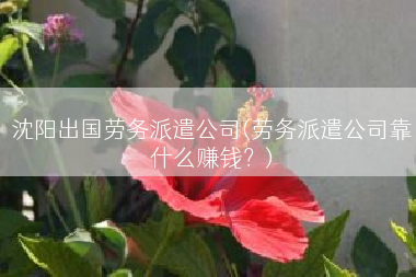 沈阳出国劳务派遣公司(劳务派遣公司靠什么赚钱？)