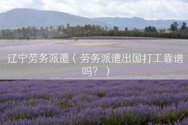 辽宁劳务派遣（劳务派遣出国打工靠谱吗？）