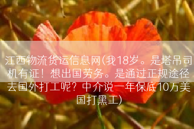 江西物流货运信息网(我18岁。是塔吊司机有证！想出国劳务。是通过正规途径去国外打工呢？中介说一年保底10万美国打黑工)