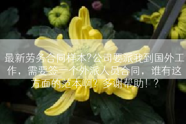 最新劳务合同样本?公司要派我到国外工作，需要签一个外派人员合同，谁有这方面的范本啊？多谢帮助！?