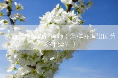 广西贵港健康管理师（怎样办理出国劳务手续？）