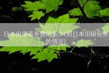 日本出国劳务费用多少(到日本出国劳务的情况)
