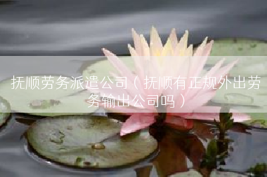 抚顺劳务派遣公司（抚顺有正规外出劳务输出公司吗）