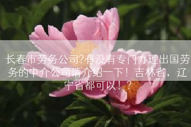 长春市劳务公司?有没有专门办理出国劳务的中介公司请介绍一下！吉林省，辽宁省都可以！?