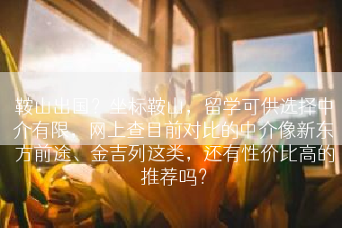 鞍山出国？坐标鞍山，留学可供选择中介有限，网上查目前对比的中介像新东方前途、金吉列这类，还有性价比高的推荐吗？