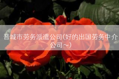 晋城市劳务派遣公司(好的出国劳务中介公司～)