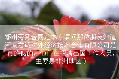 郑州劳务合同范本（请问那位朋友知道河南君诚对外经济技术合作有限公司是真的假的，他们在招聘出国工作人员，主要是非洲地区）