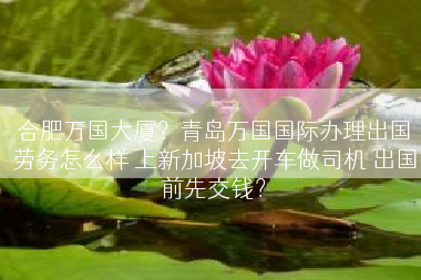 合肥万国大厦？青岛万国国际办理出国劳务怎么样 上新加坡去开车做司机 出国前先交钱？