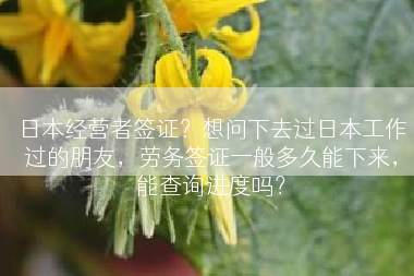 日本经营者签证？想问下去过日本工作过的朋友，劳务签证一般多久能下来，能查询进度吗？