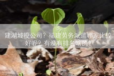 建湖城投公司？福建劳务派遣哪家比较好呢？有没有排名啥的？