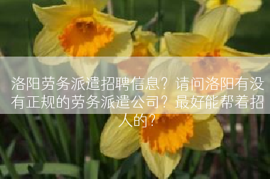 洛阳劳务派遣招聘信息？请问洛阳有没有正规的劳务派遣公司？最好能帮着招人的？