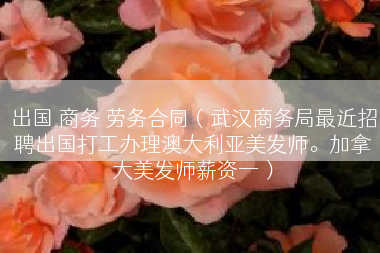 出国 商务 劳务合同（武汉商务局最近招聘出国打工办理澳大利亚美发师。加拿大美发师薪资一）