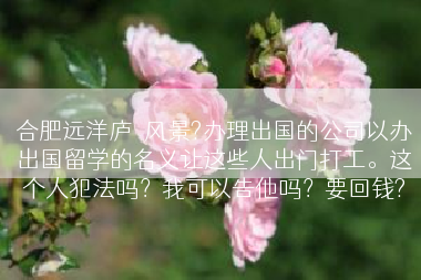 合肥远洋庐玥风景?办理出国的公司以办出国留学的名义让这些人出门打工。这个人犯法吗？我可以告他吗？要回钱?