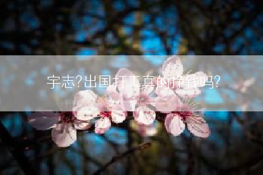 宇志?出国打工真的挣钱吗?