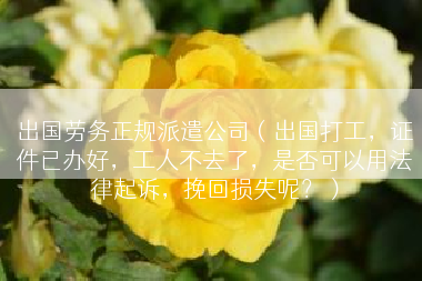 出国劳务正规派遣公司（出国打工，证件已办好，工人不去了，是否可以用法律起诉，挽回损失呢？）