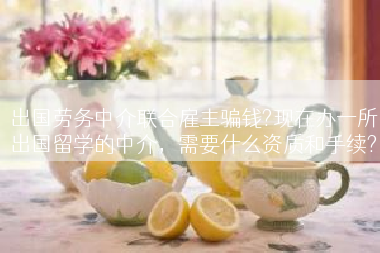 出国劳务中介联合雇主骗钱?现在办一所出国留学的中介，需要什么资质和手续?