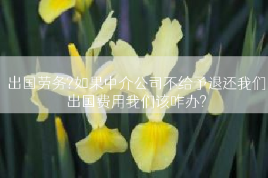 出国劳务?如果中介公司不给予退还我们出国费用我们该咋办?