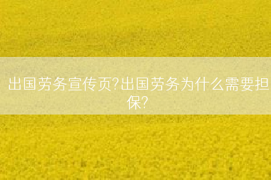 出国劳务宣传页?出国劳务为什么需要担保?
