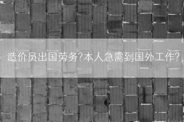 造价员出国劳务?本人急需到国外工作?