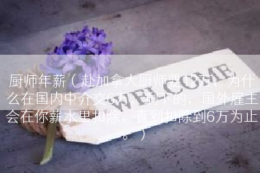 厨师年薪（赴加拿大厨师要12万，为什么在国内中介交6万，剩下的，国外雇主会在你薪水里扣除，直到扣除到6万为止。）