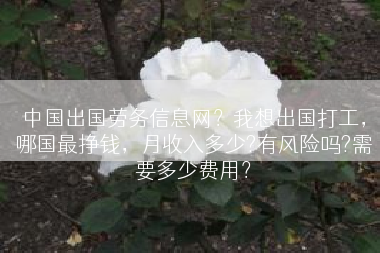 中国出国劳务信息网？我想出国打工，哪国最挣钱，月收入多少?有风险吗?需要多少费用？