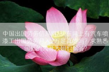 中国出国劳务信息网?现在网上有汽车喷漆工出国劳务月入2万是真的吗？求熟悉国外的大哥大姐们解答?