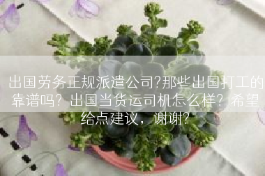 出国劳务正规派遣公司?那些出国打工的靠谱吗？出国当货运司机怎么样？希望给点建议，谢谢?