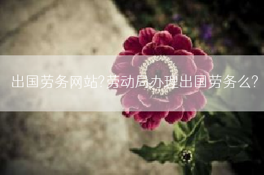 出国劳务网站?劳动局办理出国劳务么?