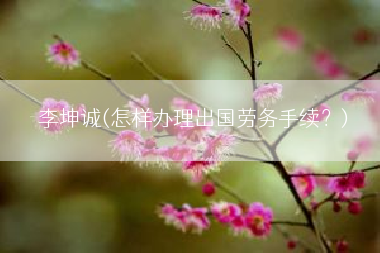 李坤诚(怎样办理出国劳务手续？)