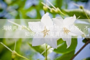 海峡两岸证据公证(我也想出国劳务，不知哪个中介是真的)