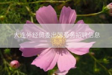 大连外经贸委出国劳务招聘信息