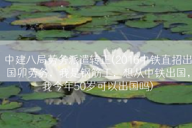 中建八局劳务派遣转正(2016中铁直招出国卯劳务，我是钢筋工，想从中铁出国，我今年50岁可以出国吗)