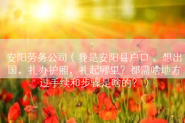 安阳劳务公司（我是安阳县户口 ，想出国，扎办护照，扎起哪里？都需啥地方过手续和步骤是啥的？）