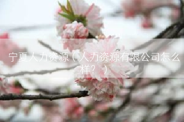 宁夏人力资源（人力资源有限公司怎么样？）