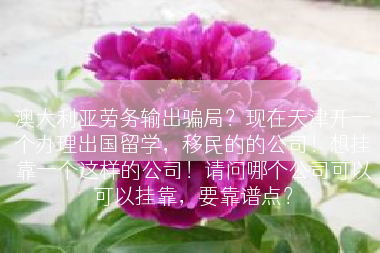 澳大利亚劳务输出骗局？现在天津开一个办理出国留学，移民的的公司！想挂靠一个这样的公司！请问哪个公司可以可以挂靠，要靠谱点？