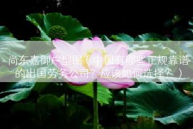 尚东嘉御户型图（中国有哪些正规靠谱的出国劳务公司？应该如何选择？）