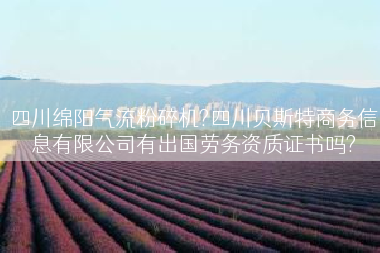 四川绵阳气流粉碎机?四川贝斯特商务信息有限公司有出国劳务资质证书吗?