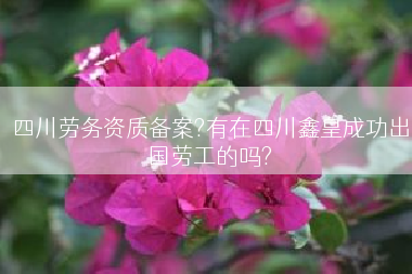 四川劳务资质备案?有在四川鑫皇成功出国劳工的吗?