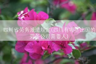 四川省劳务派遣规定(四川有哪些出国的劳务公司需要人)