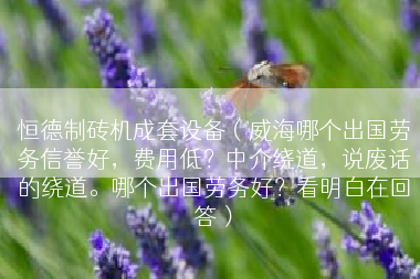 恒德制砖机成套设备（威海哪个出国劳务信誉好，费用低？中介绕道，说废话的绕道。哪个出国劳务好？看明白在回答）