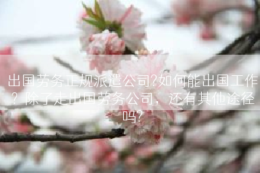 出国劳务正规派遣公司?如何能出国工作？除了走出国劳务公司，还有其他途径吗?