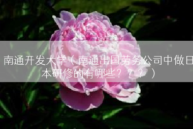 南通开发大学（南通出国劳务公司中做日本研修的有哪些？？？）