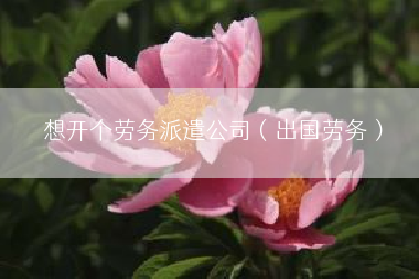 想开个劳务派遣公司（出国劳务）