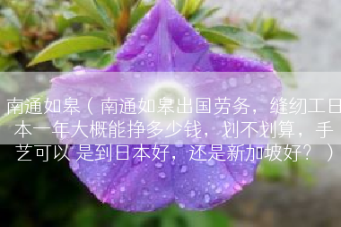 南通如皋（南通如皋出国劳务，缝纫工日本一年大概能挣多少钱，划不划算，手艺可以 是到日本好，还是新加坡好？）
